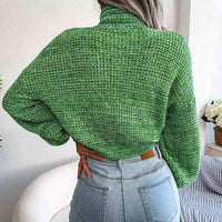 Turtle Neck Lantern Sleeve Cropped Pullover Sweater MEWOW DAILY