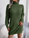 Turtle Neck Mid Thigh Buttons Decored Knit Dress MEWOW DAILY